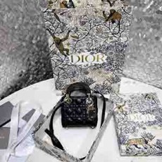 DIOR 디올