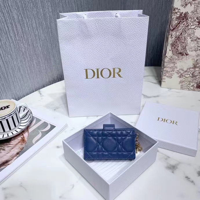 DIOR 디올