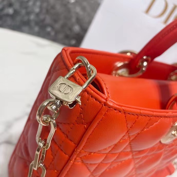 DIOR 디올