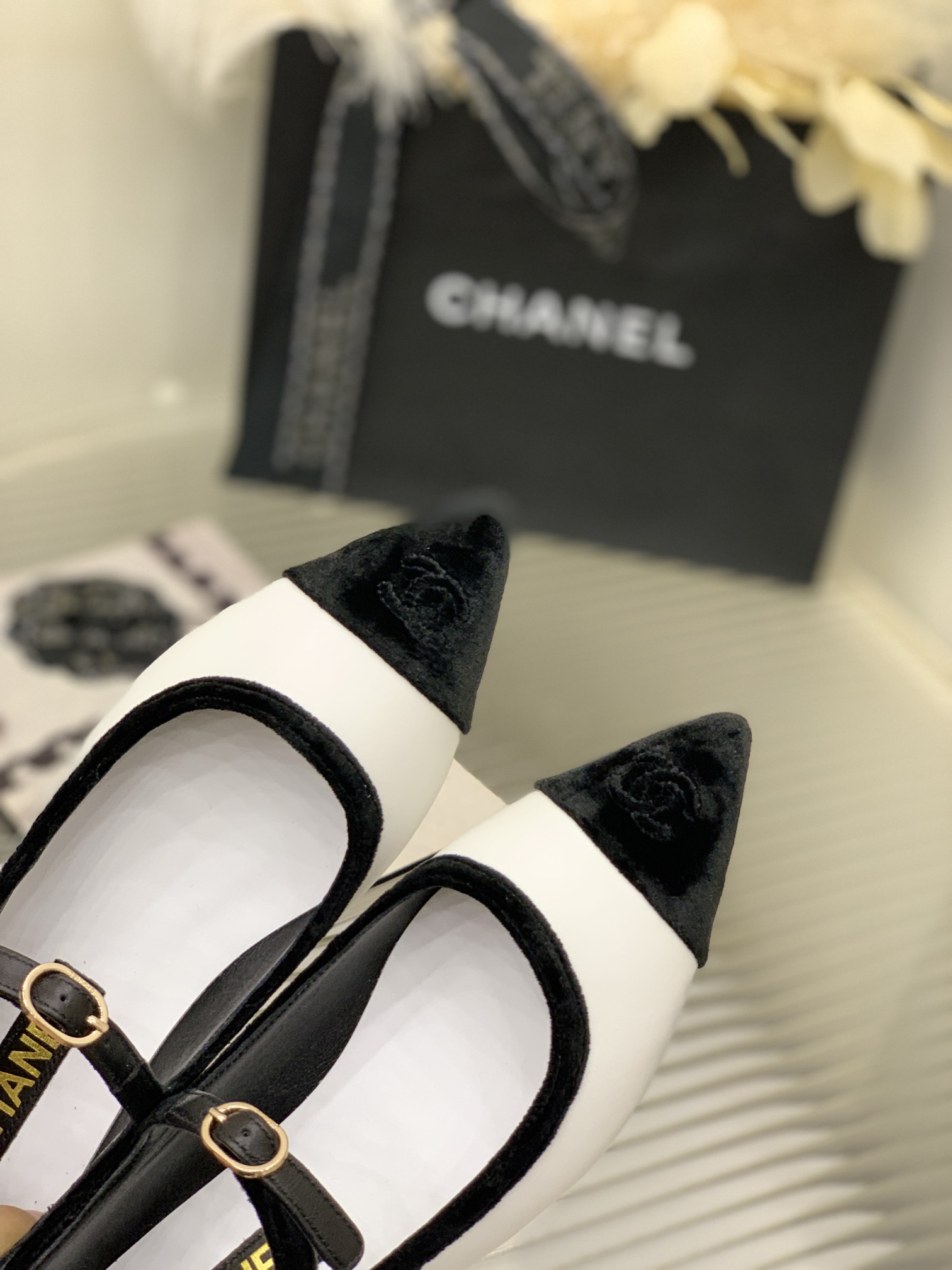 샤넬 [CHANEL]