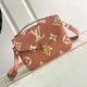 LOUIS VUITTON 루이비통 포쉐트 메티스 M45773