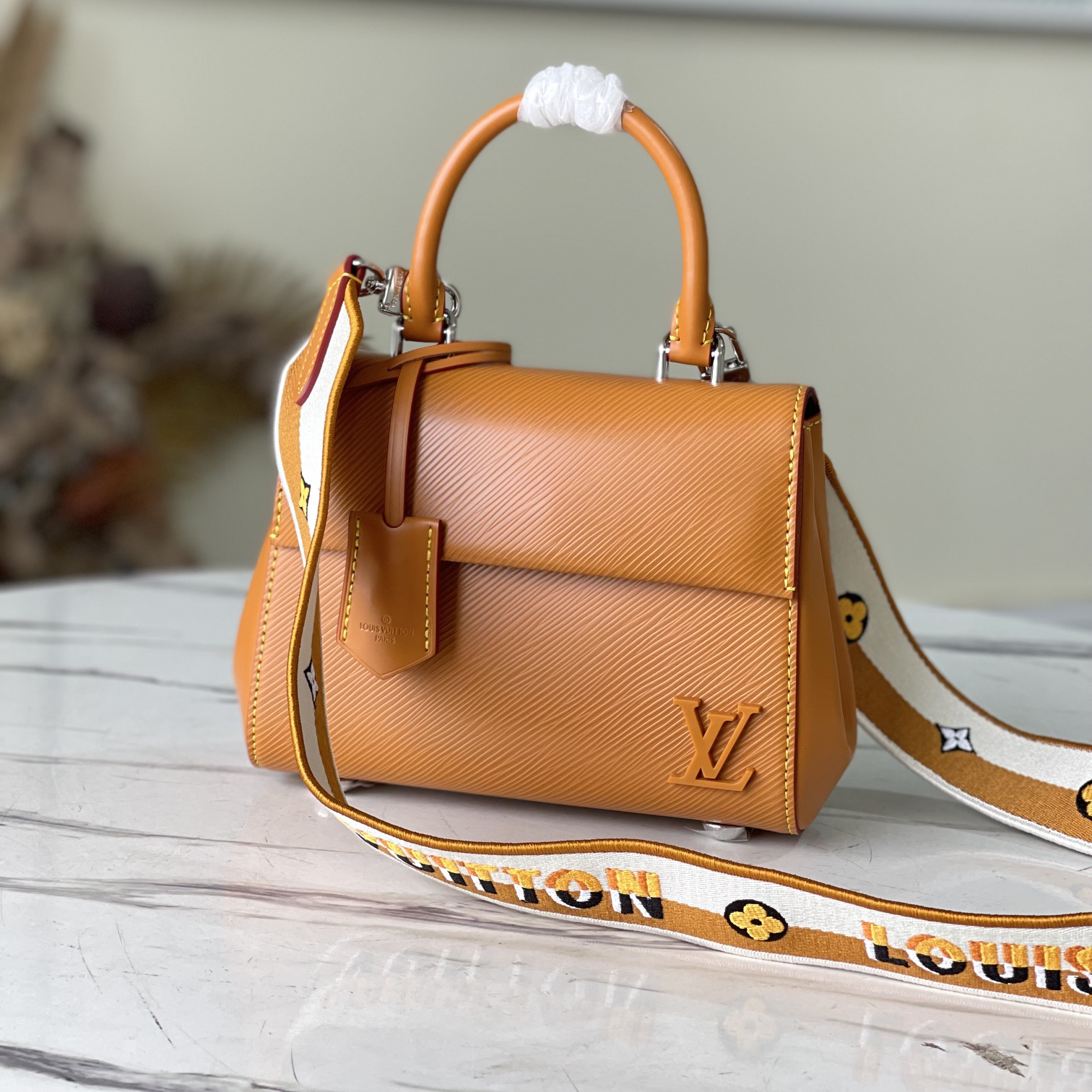 LOUIS VUITTON 루이비통 Cluny Mini M58931