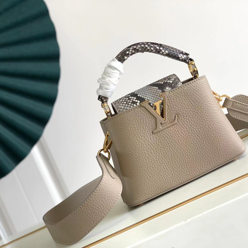 LOUIS VUITTON 루이비통 카퓌신 미니 N81258